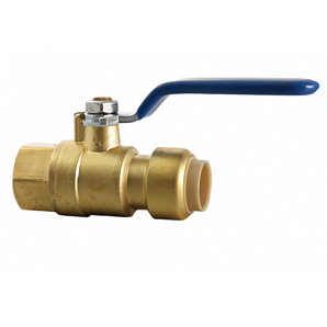 Push x Female Ball Valve